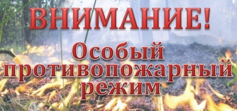 v-bystrinskom-raione-vveli-osobyi-protivopozharnyi-rezhim-photo-big.jpg